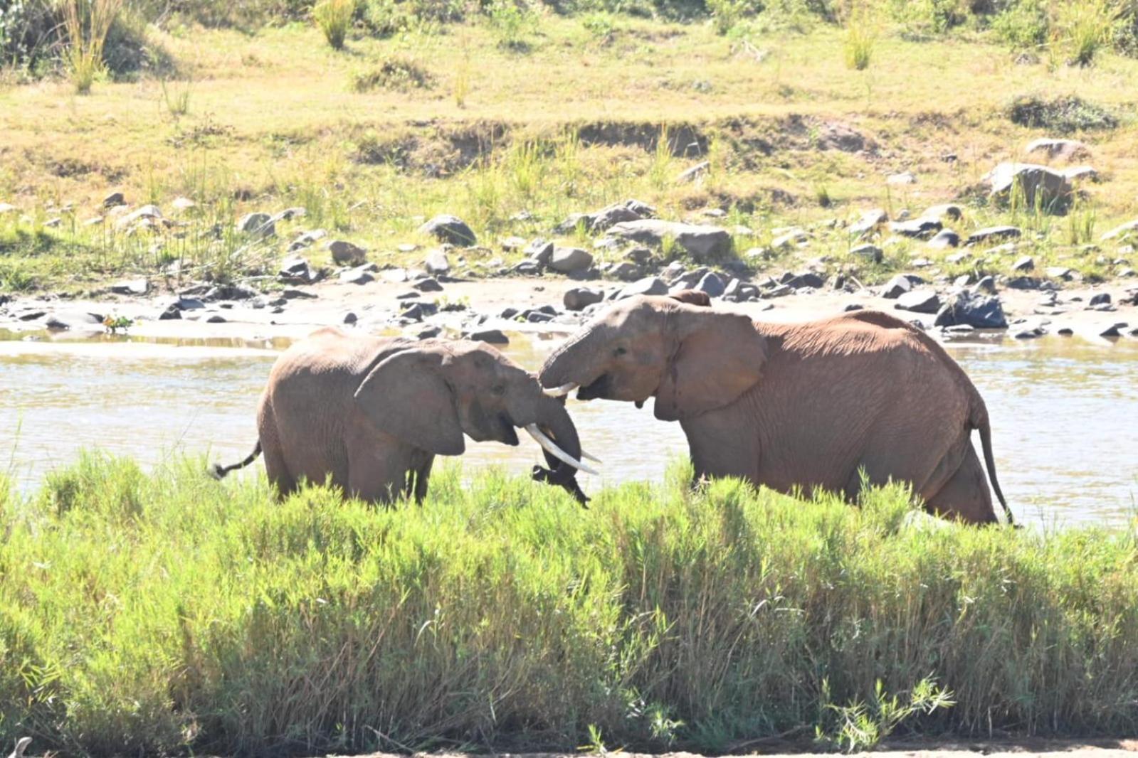 Buckler's Africa by BON Hotels Komatipoort Exterior foto