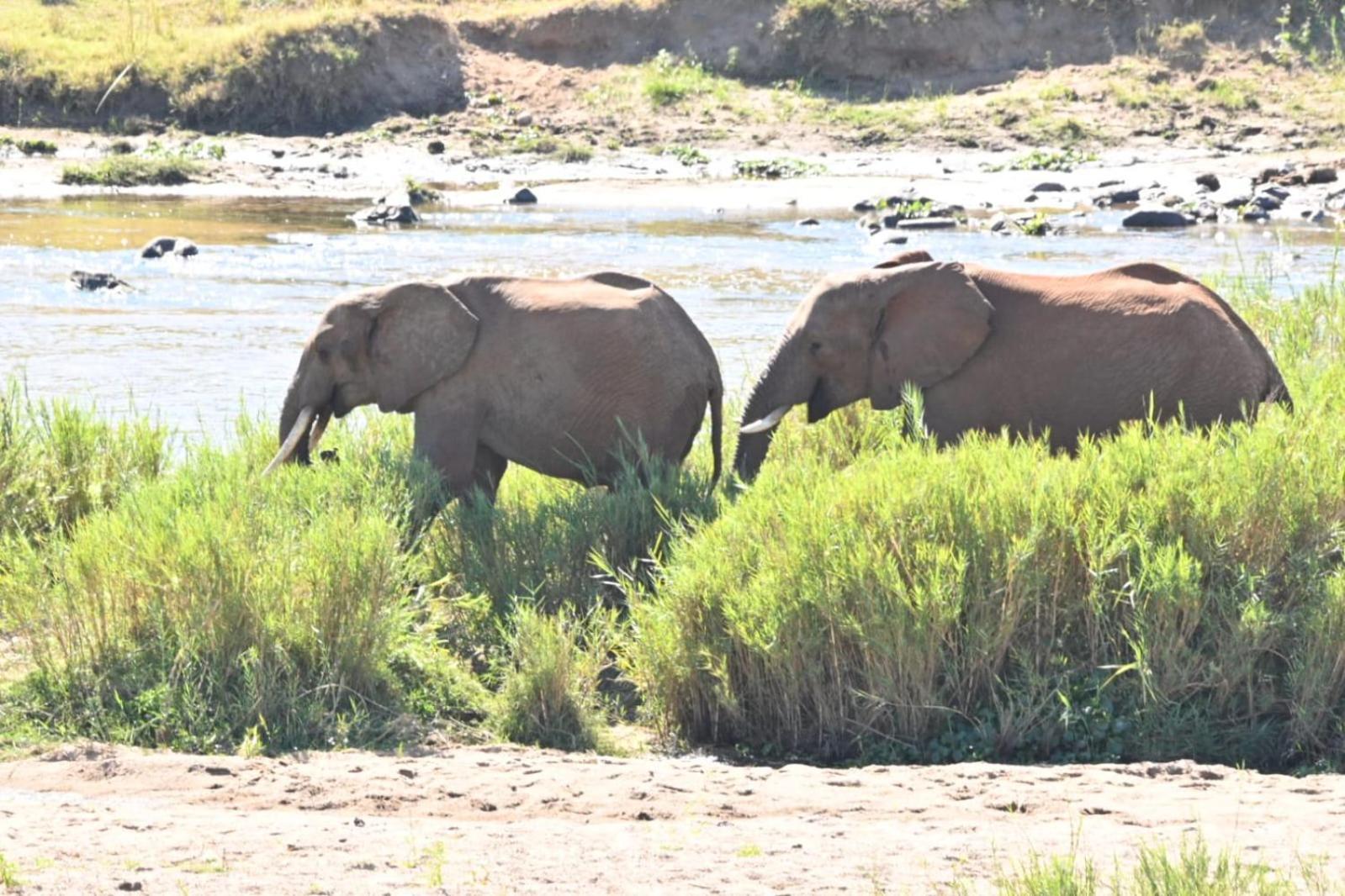 Buckler's Africa by BON Hotels Komatipoort Exterior foto