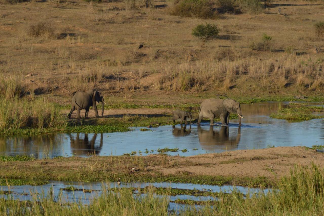 Buckler's Africa by BON Hotels Komatipoort Exterior foto
